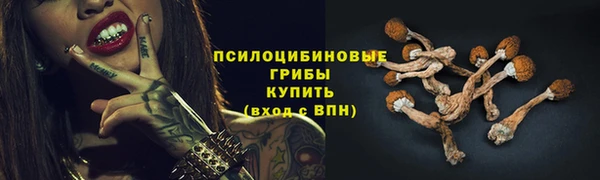 spice Белоозёрский