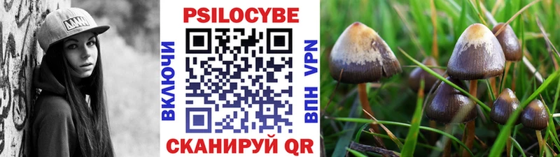 Галлюциногенные грибы Psilocybe  Светлый 